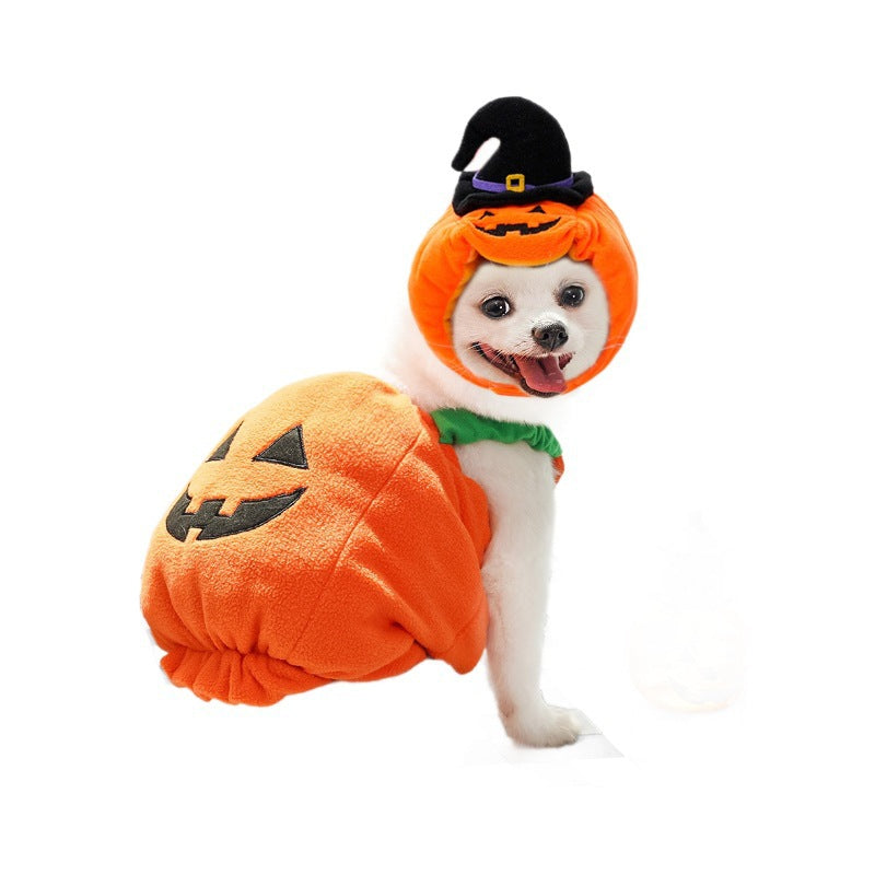 Pumpkin Halloween costume for dogs and cats in Padded Pumpkin, showing size and shape