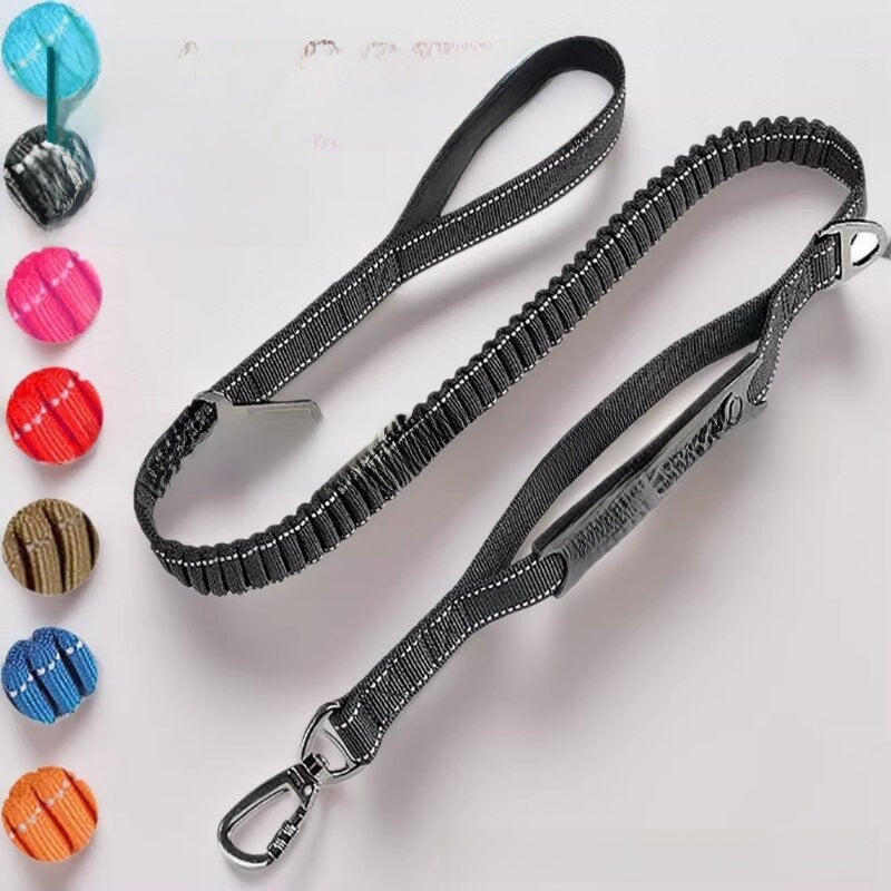 Elastic bungee dog lead with padded handle and car clip, product photo