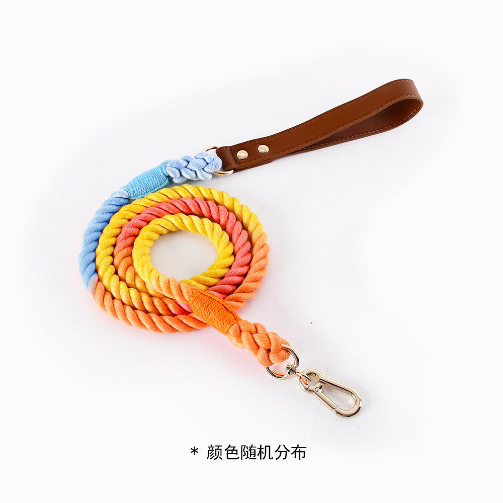 Braided cotton rope dog lead or collar, available from Pet Royale UK