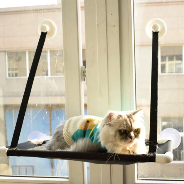 Suction cup window cat hammock, photo from another angle