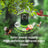 Intelligent Bird-Watching Device Outdoor Bird Feeder with Camera Solar-Powered