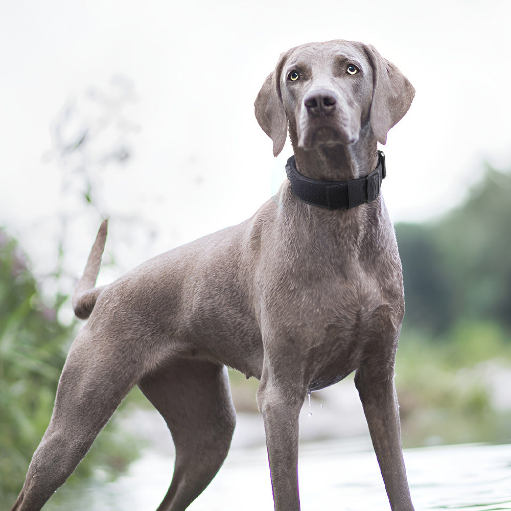 Tactical polyester dog collar with grip handle, product image 2