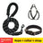 Reflective dog lead and collar set in Blue 2-Piece Set, in use with a pet