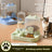 Dual-Compartment Pet Food Bowl with Automatic Water Refill Bottle and Leakproof Design