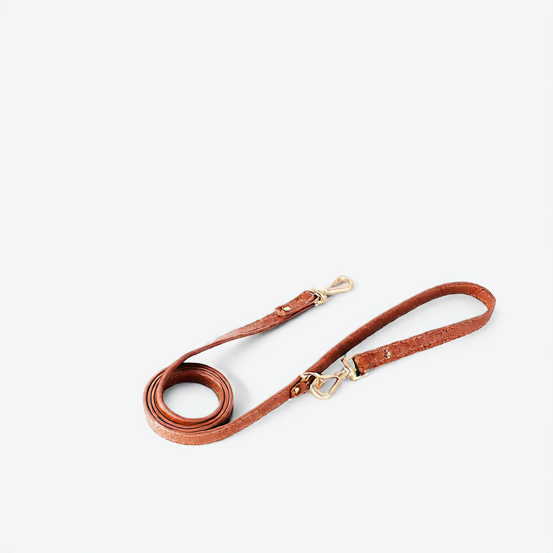 Leather look dog harness in brown with matching lead