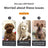Cordless Pet Hair Trimmer, 6500 RPM with Comb and Scissor Options