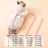 Lightweight chest harness and lead for dogs and cats, ideal for everyday use