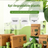 Degradable Pet Waste Bags in Rolls, Plain or Printed