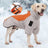 Reflective cape style dog winter coat, available in 4 colours, image 1