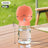 Portable 3-in-1 Pet Water Bottle with Food Container and Waste Box for Dog Walks