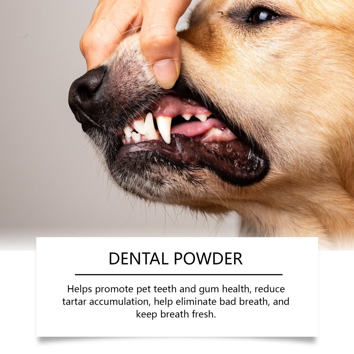 Dog Teeth Cleaning Powder for Plaque, Tartar and Fresh Breath