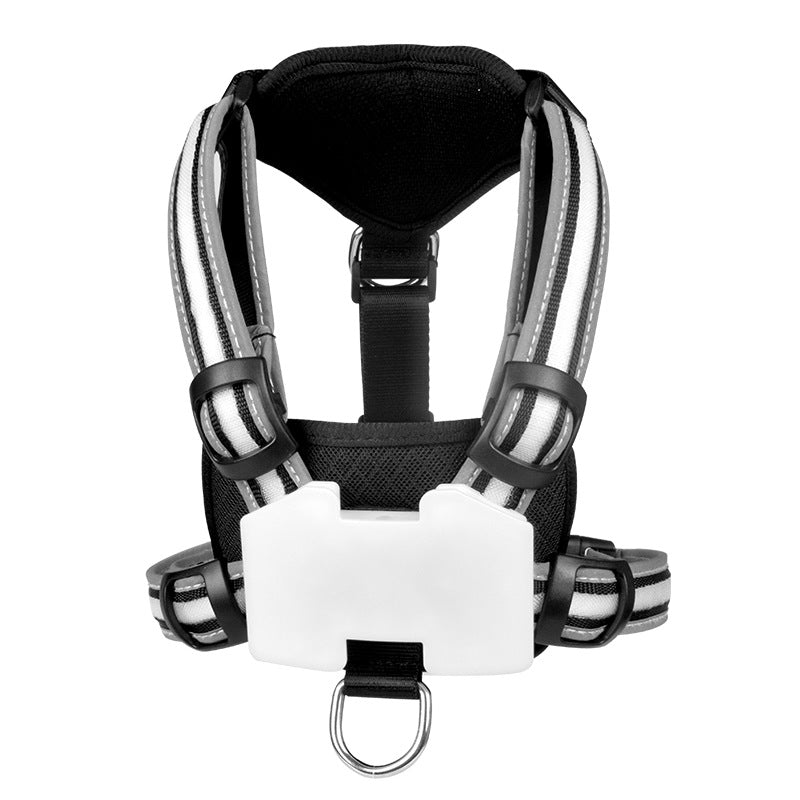 Light up vest harness with matching lead for dogs