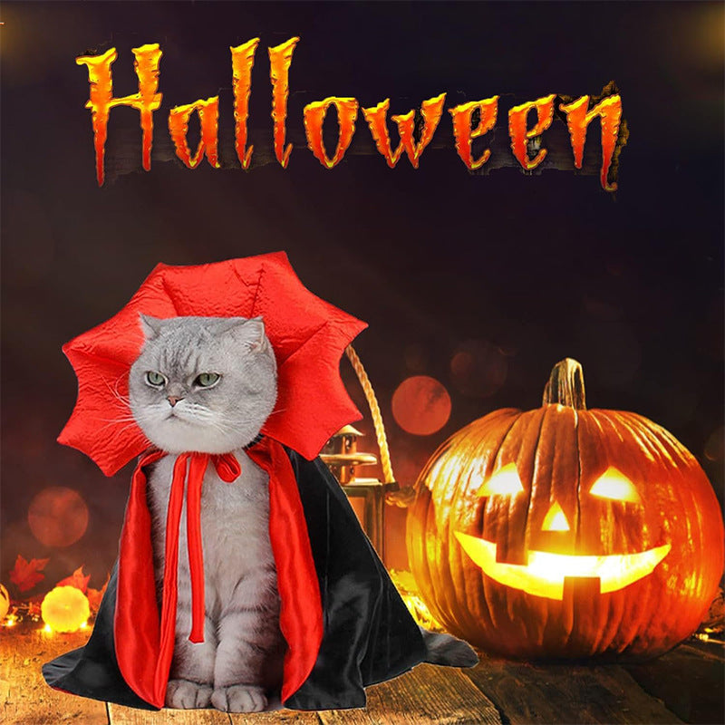 Cat wearing a red cartoon style witch cloak