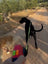Green automatic retractable dog lead for small and medium dogs