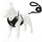 Mesh reflective dog harness, available from Pet Royale UK