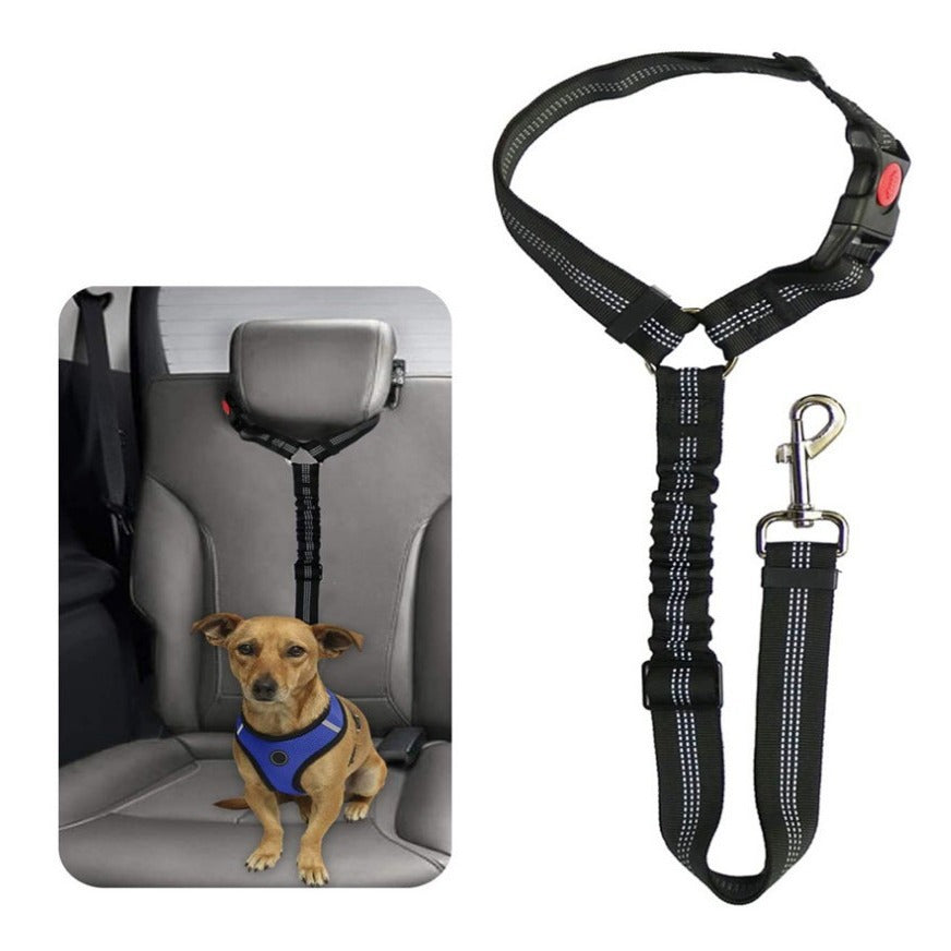 Nylon dog car seat belt leads in nine colours