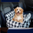 Portable car pet bed for small dogs, main product photo