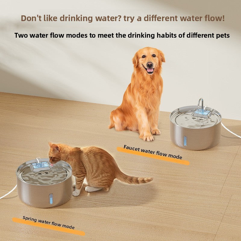 Automatic filter water dispenser