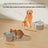 Automatic filter water dispenser