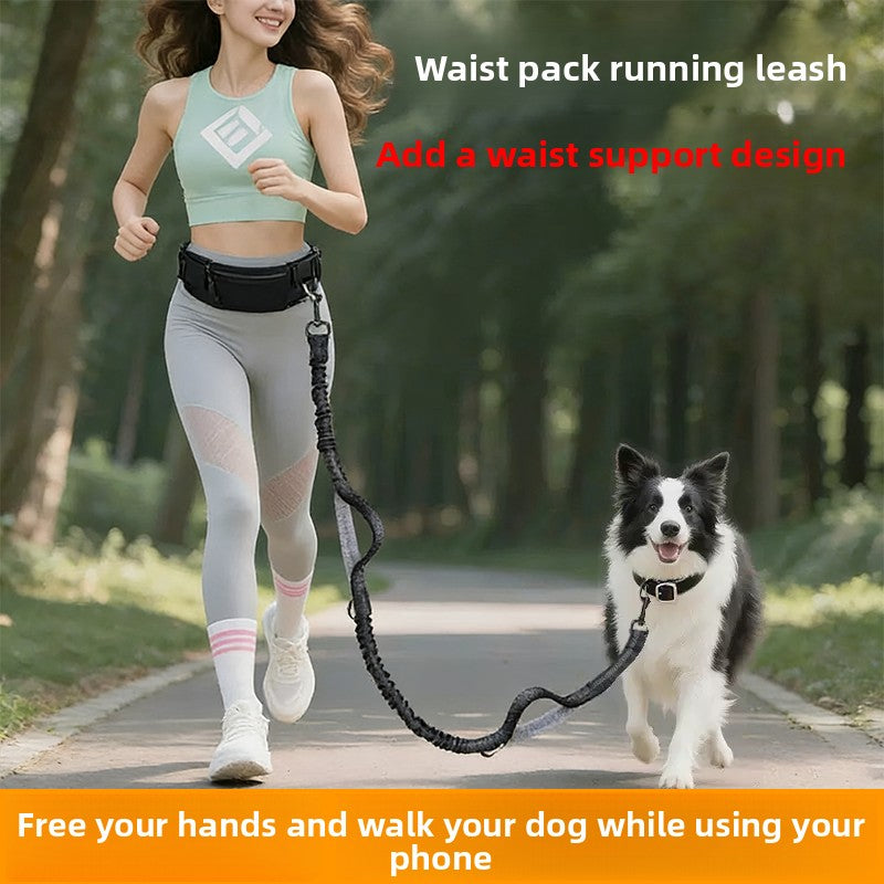 Hands-free dog running lead with waist belt, product photo