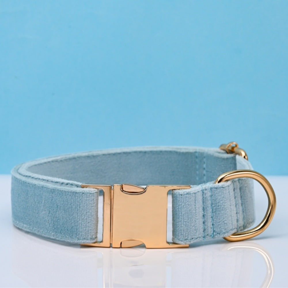 Soft velvet dog collar with metal buckle, available from Pet Royale UK
