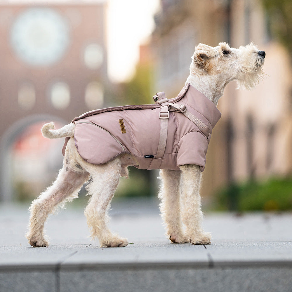 Small dog in a khaki cotton padded water resistant coat