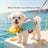 Yellow bear dog swimming life jacket, in Yellow Bear, image 3