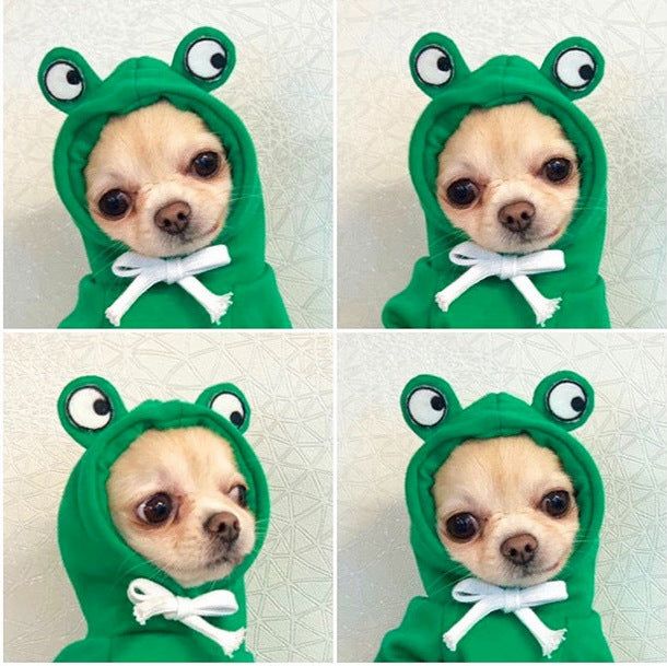 Small dog in a green frog fleece hooded jumper