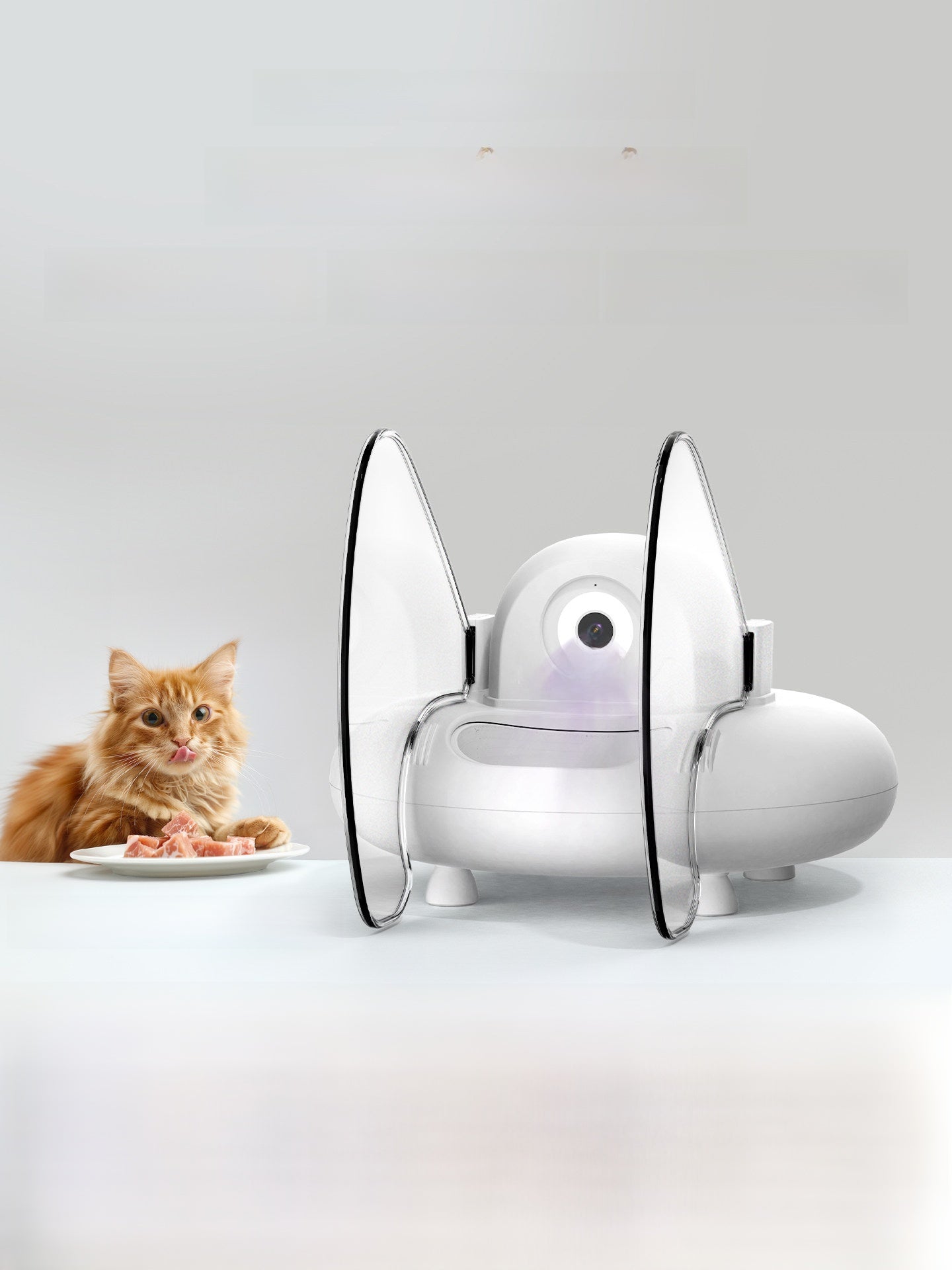 Automatic Cat Feeder with Facial Recognition, Wi-Fi App Control and 2L Food Container