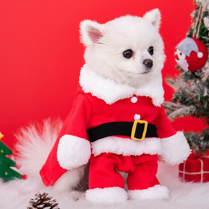 Christmas standing Santa costume with hat for pets in Standing Santa with Hat, close-up detail