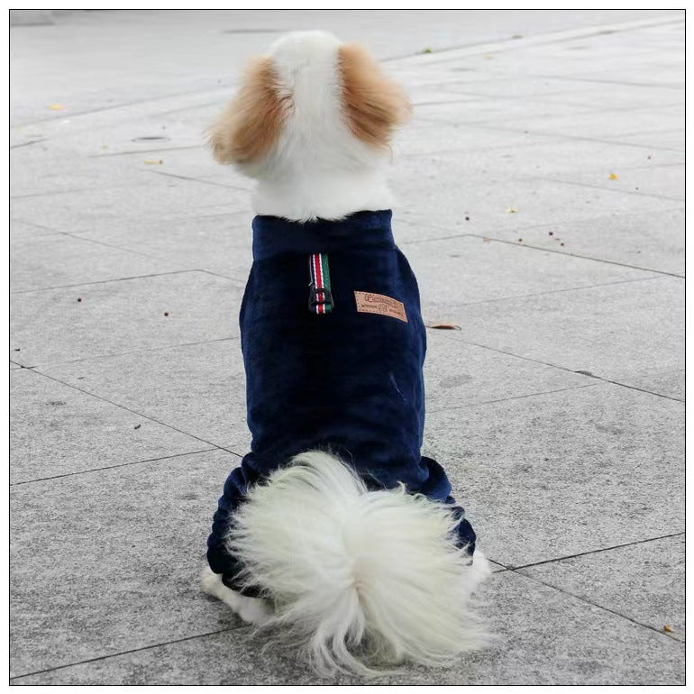 Coral velvet four-leg dog coat for small dogs in Royal Blue, in a home setting