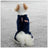 Coral velvet four-leg dog coat for small dogs in Royal Blue, in a home setting