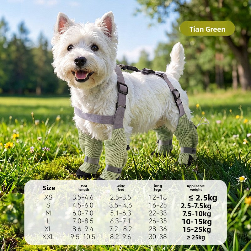 Anti-slip dog shoes with TPE soles and straps, product image 41