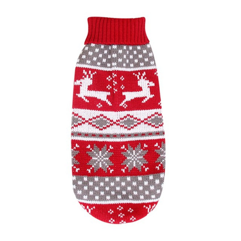 Small dog in a red reindeer knitted Christmas jumper