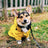 British retro thick dog raincoat with cotton lining in Red, side view