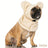 Windproof dog winter hood snood and neck warmer, product image 16