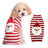 Christmas knitted dog jumper with festive pattern, in a home setting
