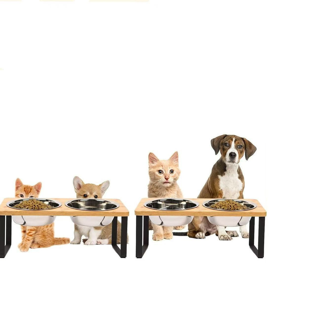 Bamboo and Wood Cat and Small Dog Bowl Set with Stainless Steel Inserts, Double or Triple