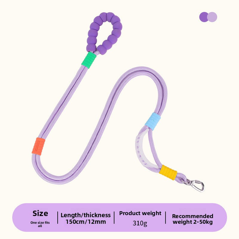 Bright nylon dog lead in vivid colour, product image 6