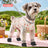 Four leg dog coverall with lead attachment, available in 2 colours, image 40