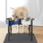 Adjustable Elevated Dog Bowl Stand with Single or Double Basin for Medium Dogs