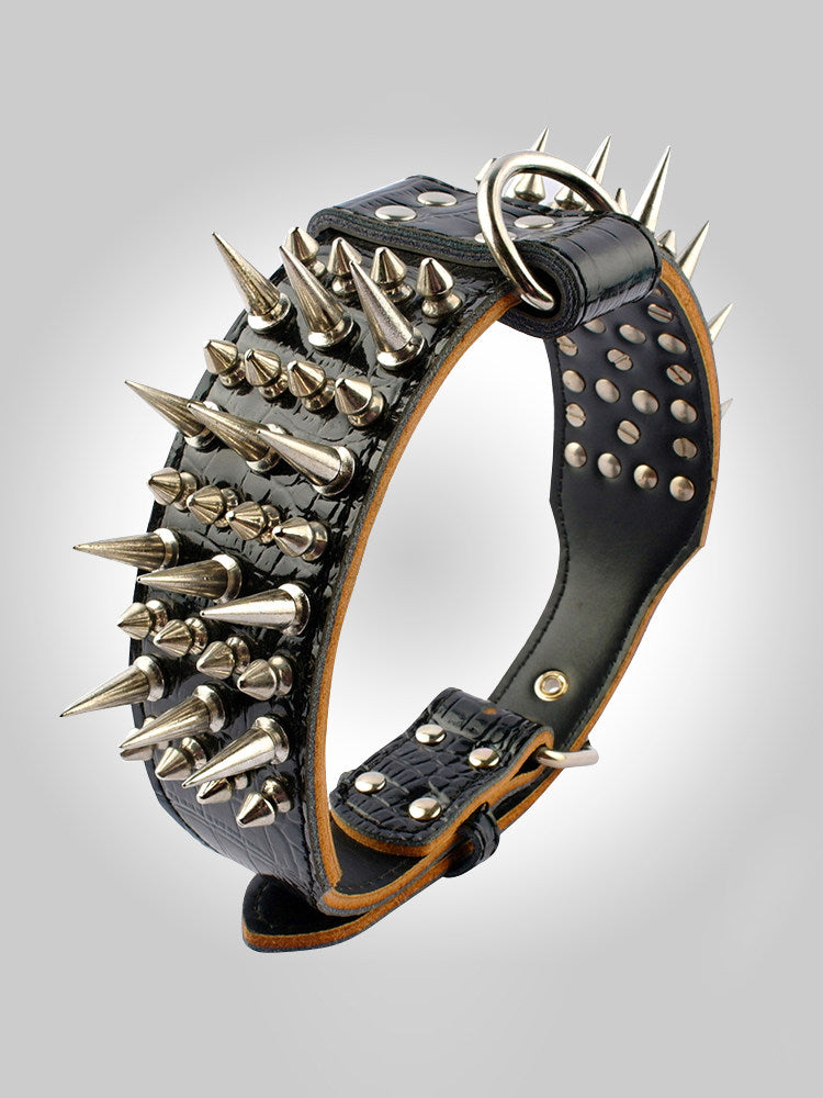 Golden brown studded dog collar with short studs, adjustable 38 to 43cm, view 3