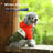 Small dog wearing a thick curry padded winter coat