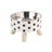 Raised stainless steel cat bowl with stand in Polka Dot Bowl
