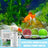 Aquarium Algae Remover Powder or Tablets 50g with Spoon