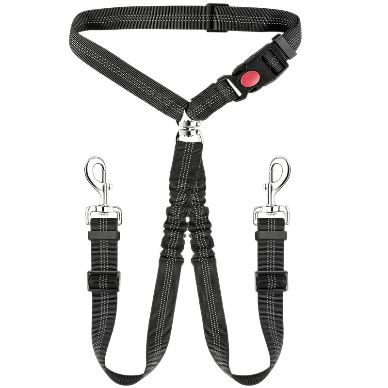 Elastic dog car safety lead in 7 colour options