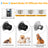 Three-Speed Pet Nail Grinder with Spare Heads and Dual LED