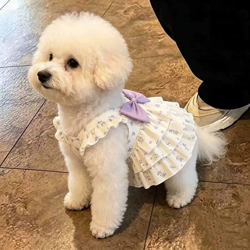 Floral strap summer dress for small dogs, available in 2 colours, image 3