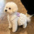 Floral strap summer dress for small dogs, available in 2 colours, image 3