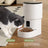 Automatic Pet Feeder with Water Dispenser, 4L Food Tank, 3L Water Tank for Cats and Dogs